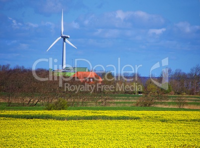 Alternative Energie Windrad mit Rapsfeld