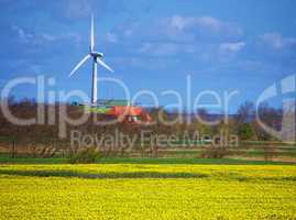 Alternative Energie Windrad mit Rapsfeld