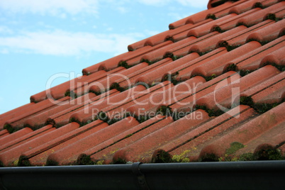 red tiles