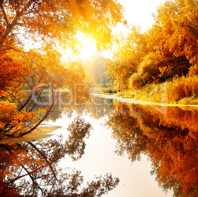 River in a delightful autumn forest