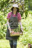 Frau mit geernteten Möhren, Woman harvesting carrots