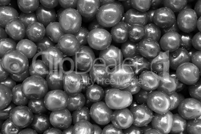 black and white friuts of berries of cherry