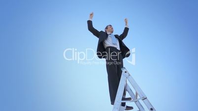 Businessman Ladder Champion Hands