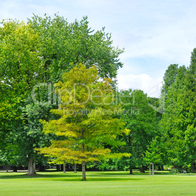 summer park with beautiful green lawns