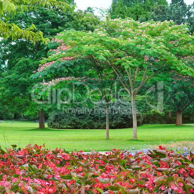 summer park, lawn and flower garden