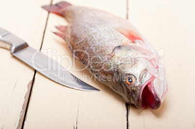 fresh whole raw fish