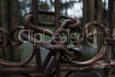 Locked chain on rusty gate