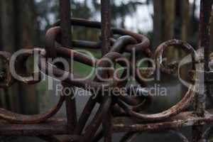 Locked chain on rusty gate