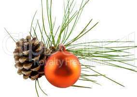 Pine cone ball and pine branch