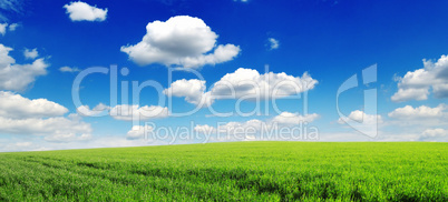 field and sky