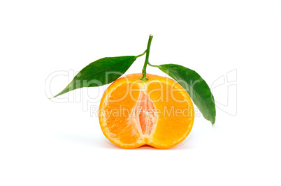 tangerine