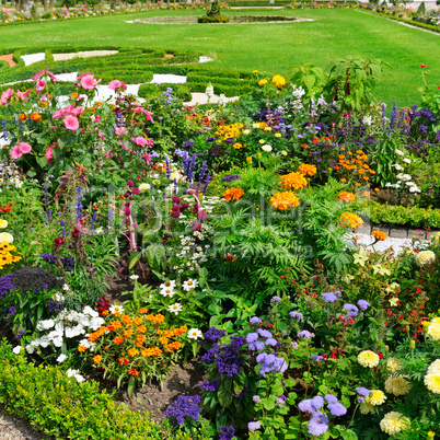 delightful flower bed in the summer park