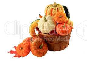Pumpkins and squashes Fall arrangement