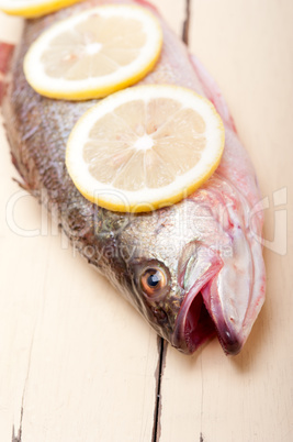 fresh whole raw fish