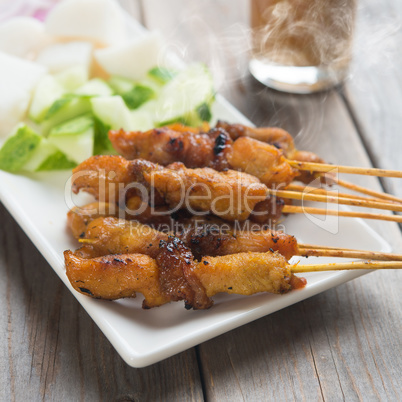 Asian gourmet chicken sate