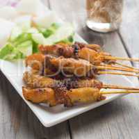 Asian gourmet chicken sate