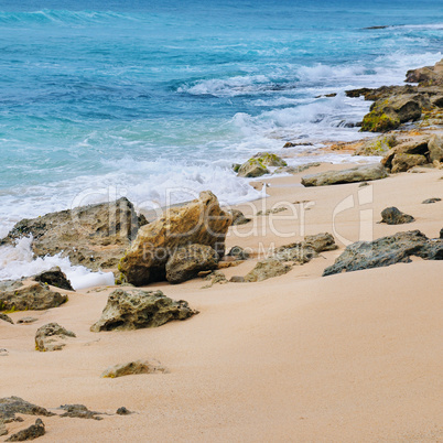 picturesque sandy coastline