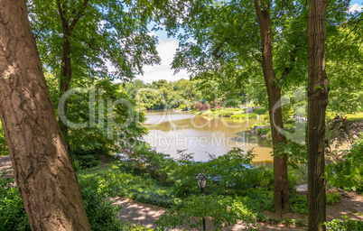 Lake and trees of Central Park - New York