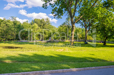 Green meadows of Central Park, New York
