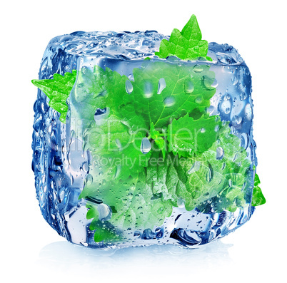 Mint in ice cube