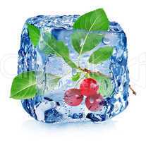 Cherry in ice cube