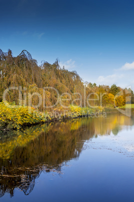 Trees reflecting in the water