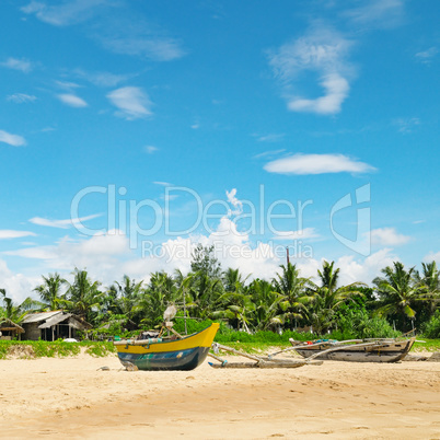 Fishing boats