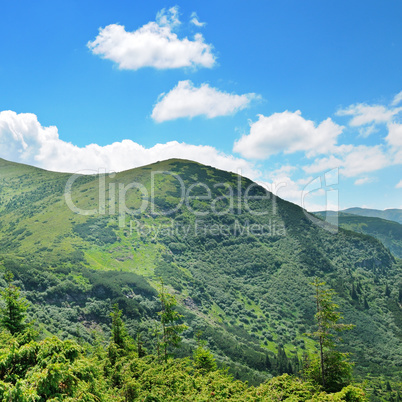 mountains covered trees and blue sky