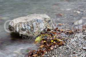 Stone in a lake in autumn with colorful leaves
