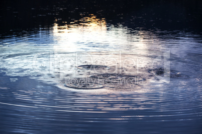 Water circles in the lake