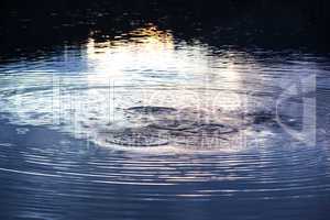 Water circles in the lake