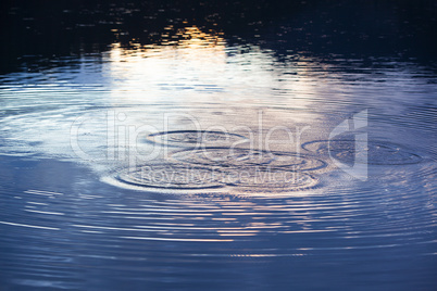 Water circles in the lake