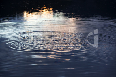 Water circles in the lake