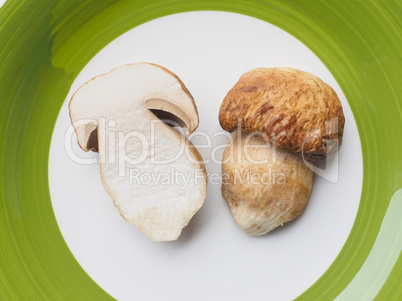 Porcini Mushroom