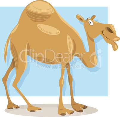 dromedary camel cartoon illustration