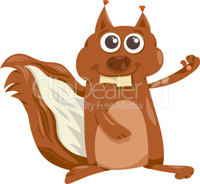 squirrel animal cartoon illustration