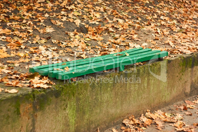 Green wooden bench among autumn leaves