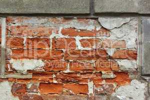 Old brick wall with plaster shelled