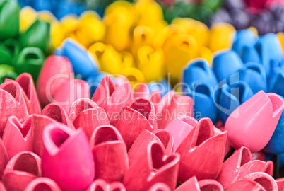 Colourful Tulips of Amsterdam Flower Market