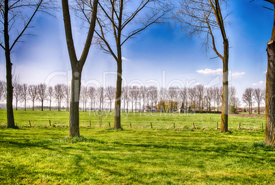 Beautiful Netherlands Countryside in Spring Season