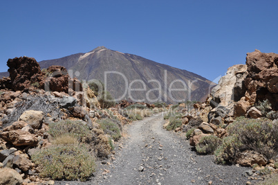 Wanderweg auf Teneriffa