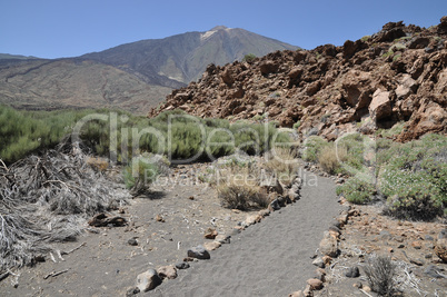 Wanderweg auf Teneriffa