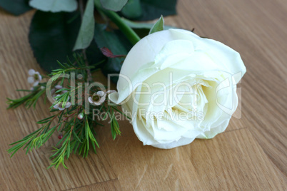 Weisse Rose auf Holz