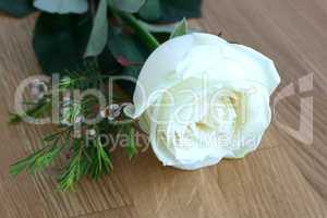 Weisse Rose auf Holz