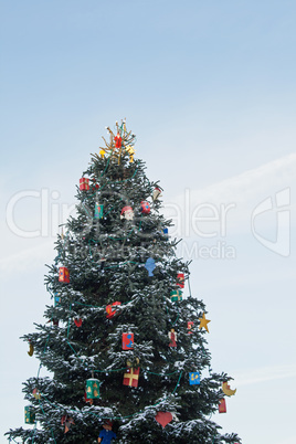 Weihnachtsbaum