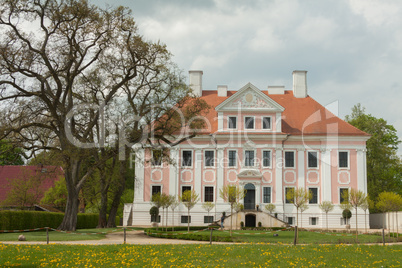 Schloss Rietz mit Baum