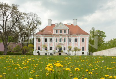 Schloss und Löwenzahn