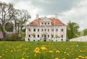 Schloss und Löwenzahn