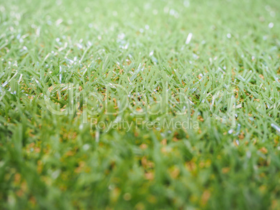 Artificial grass