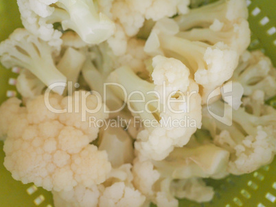 Cauliflower vegetable